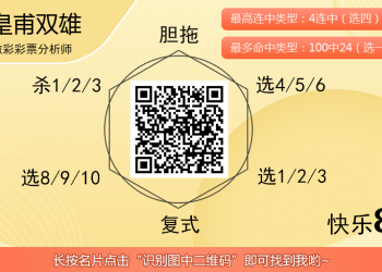 [愉快8] 25321期：皇甫双雄杀码